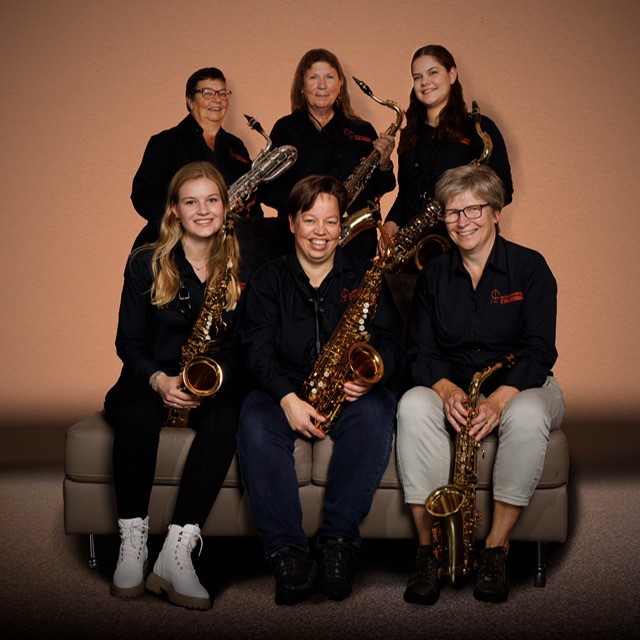 Sectie saxofoons | Muziek | Openluchtspektakel Casteren, Elisabeth De Rebelse Roos